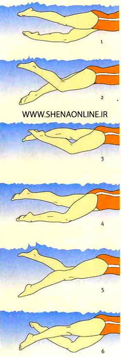 آموزش شنا برای مبتدیان